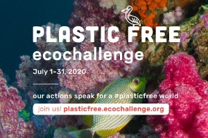 Plastic Free Ecochallenge banner in front of a coral reef